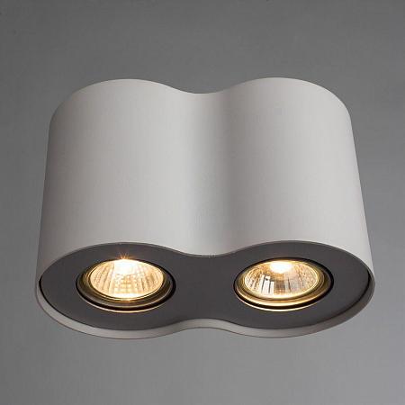 Купить Потолочный светильник Arte Lamp Falcon A5633PL-2WH