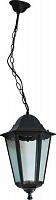 Купить Светильник садово-парковый Feron 6205 шестигранный на цепочке 100W E27 230V, черный