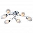 Купить Потолочная люстра Arte Lamp Debora A6055PL-6CC