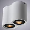 Купить Потолочный светильник Arte Lamp A5644PL-2WH