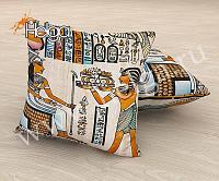 Купить Египетский папирус арт.ТФП2272 (45х45-1шт) фотоподушка (подушка Ализе ТФП)