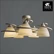Купить Потолочная люстра Arte Lamp Fabia A1565PL-5WG