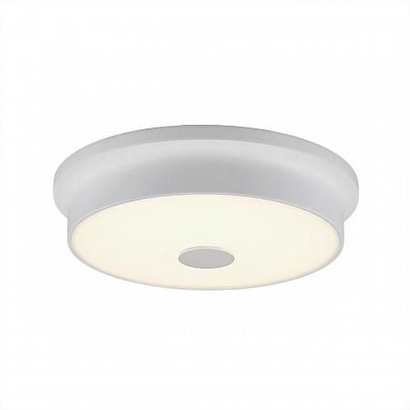 Купить Потолочный светодиодный светильник Citilux Фостер-2 CL706220