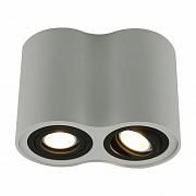 Купить Потолочный светильник Arte Lamp A5644PL-2WH