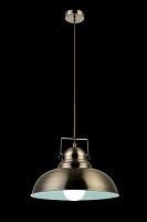 Купить Подвесной светильник Arte Lamp Martin A5213SP-1AB