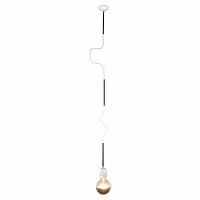 Купить Подвесной светильник Lussole Loft LSP-9890