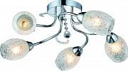 Купить Потолочная люстра Arte Lamp Debora A6055PL-5CC