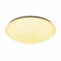 Купить Потолочный светодиодный светильник SLV Lipsy 133759