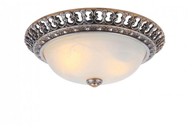 Купить Потолочный светильник Arte Lamp Torta A7132PL-2SA