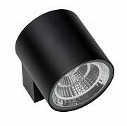 Купить Уличный настенный светодиодный светильник Lightstar Paro 361674