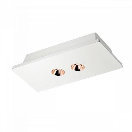 Купить Потолочный светодиодный светильник Loft IT Architect OL1072-WG/2