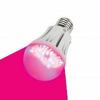 Купить Лампа светодиодная для растений (09645) E27 9W LED-A60-9W/SP/E27/CL